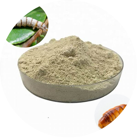 Male Silkworm Peptide Functions