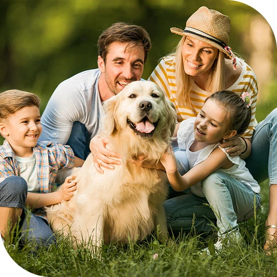 Importance of Human Nutrition Supplement Raw Materials