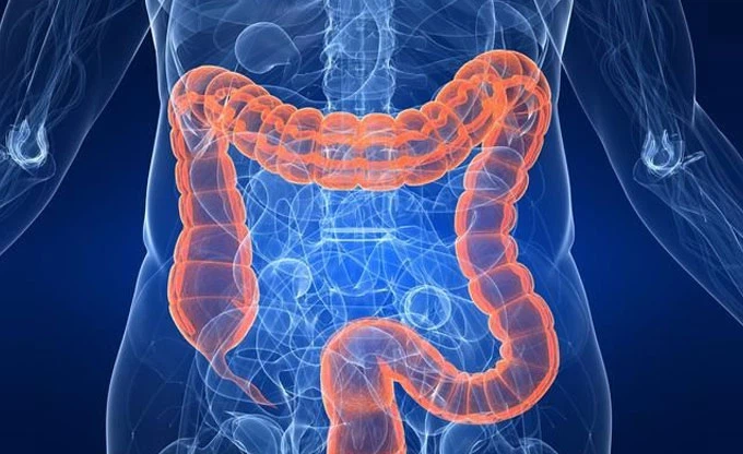 Glutamine for gut health