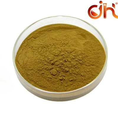 Ginkgo Biloba Extract;CAS 90045-36-6