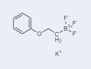 Potassiumtrifluoro(2-phenoxyethyl)borate; CAS No.:1408168-74-0