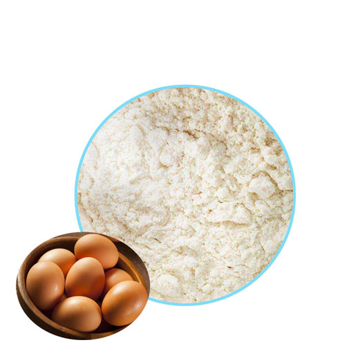 egg white protein 1