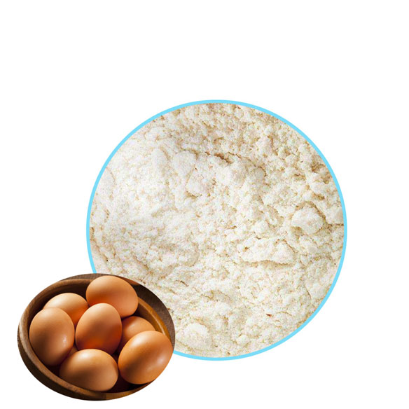 Egg White Protein 