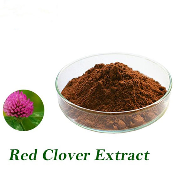Red Clover Extract Benefits