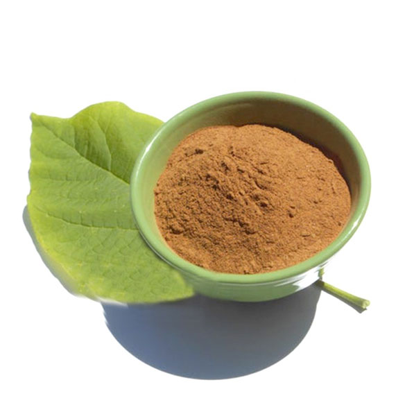 White Mulberry Leaf Extract
