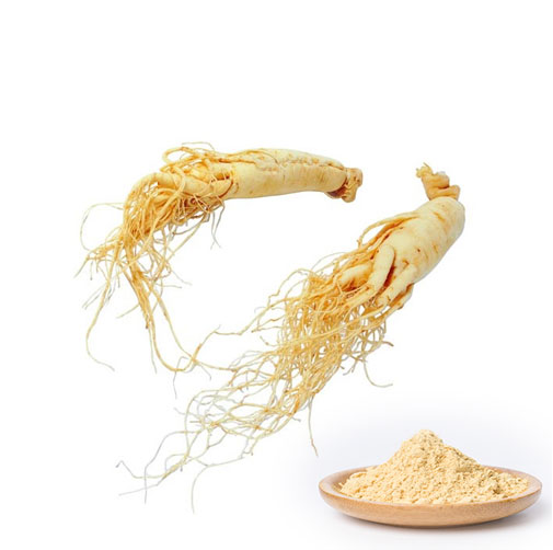 Red Korean Ginseng Extract