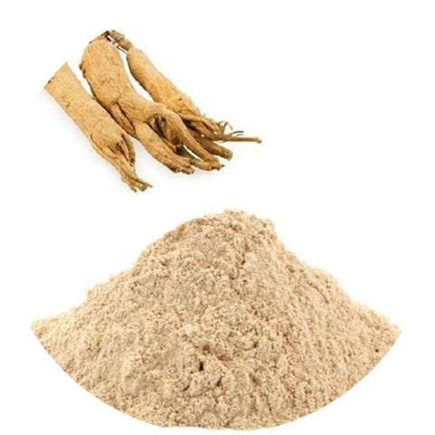 Functions of American Ginseng Extract