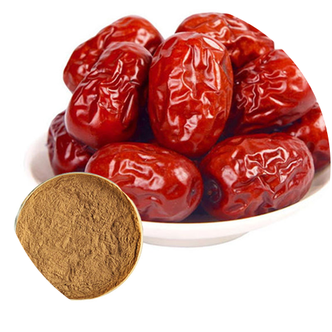 Functions of Jujube Extract