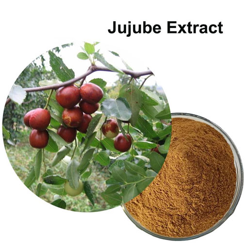 jujube powder benefits