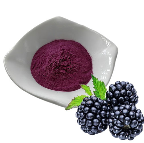 Mulberry Extract Benefits