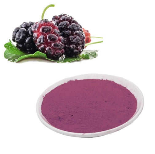 Mulberry Extract Skin Benefits