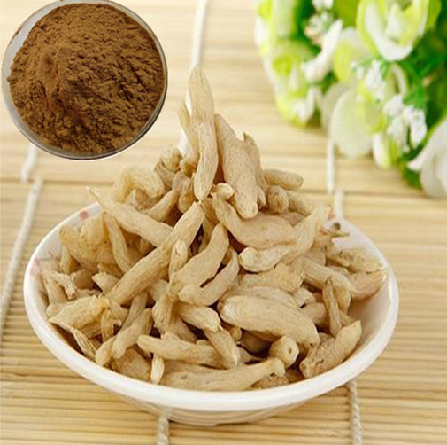 Japonicus Root Extract