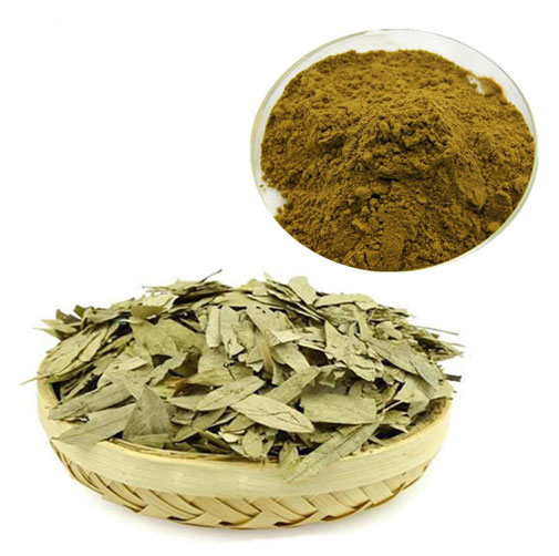 Senna Leaf Powder Extract