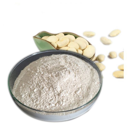 White Kidney Bean Extract Benefits