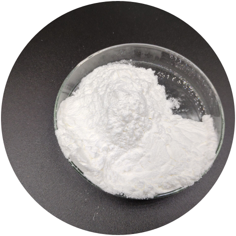 L Carnosine Powder Functions