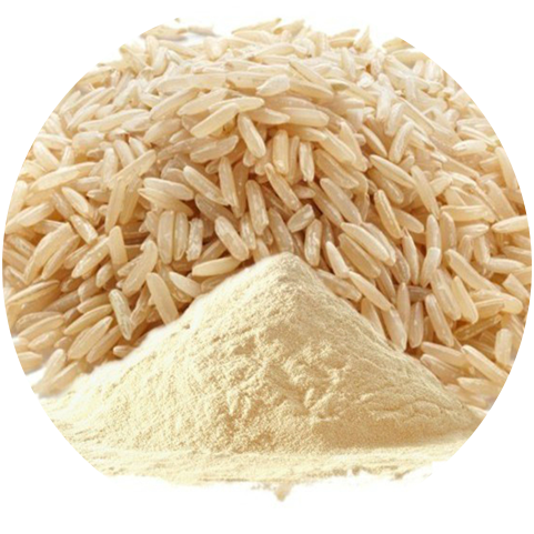 Bulk Rice Protein Powder Functions