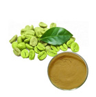 Green Coffee Bean Extract 