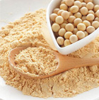 Soy Protein Isolate 