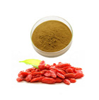 Wolfberry Extract 