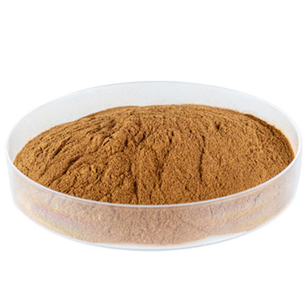 Cistanche Tubulosa Extract (Verbascoside 9%min) 