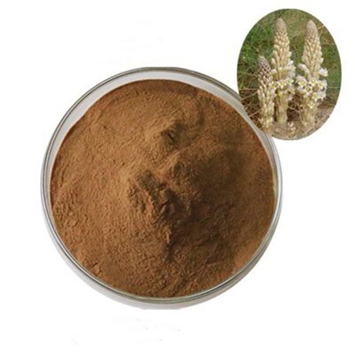 Cistanche Tubulosa Extract (Verbascoside 9%min)