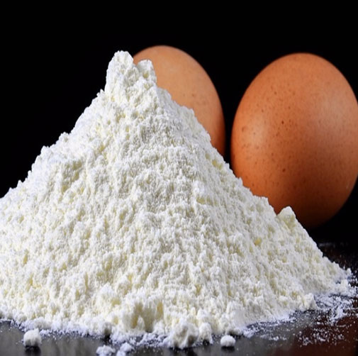 Bulk Egg Protein Powder