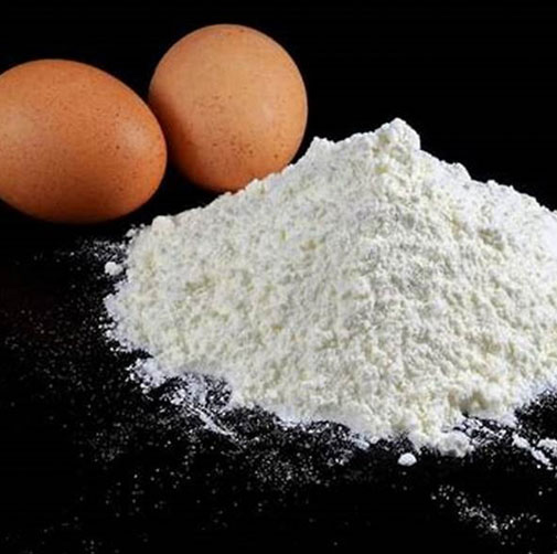 Bulk Egg White Powder