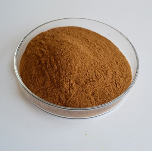 Bulk Green Tea Extract Powder2