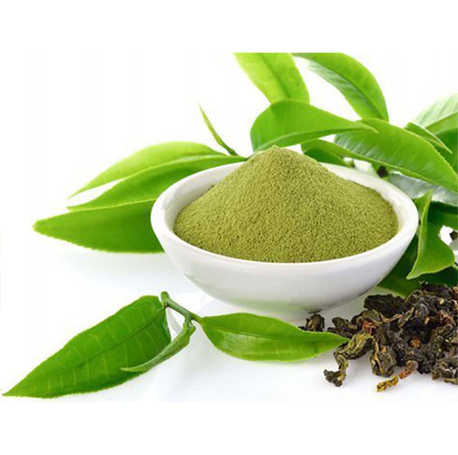 Green Tea Extract Powder Bulk