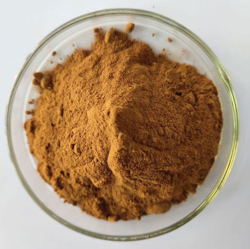 Green Tea Extract Powder Bulk1