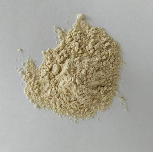 Phosphatidylserine Powder Bulk