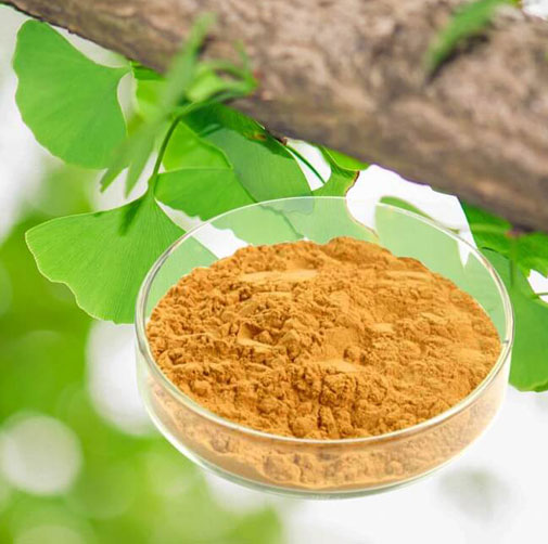 China Ginkgo Biloba Extract Powder3