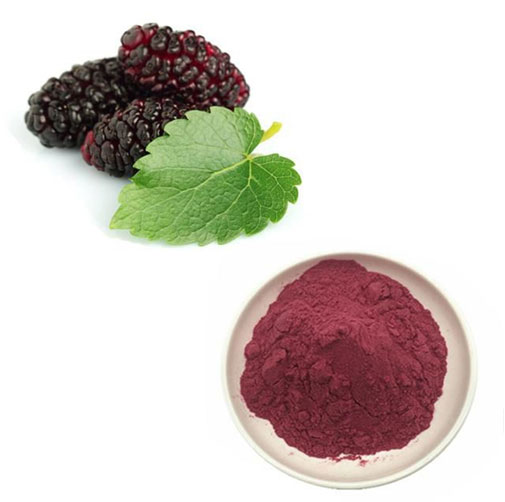 China Mulberry Leaf Extract