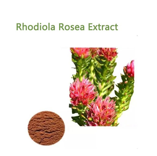 China Rhodiola Rosea Extract Manufacturers
