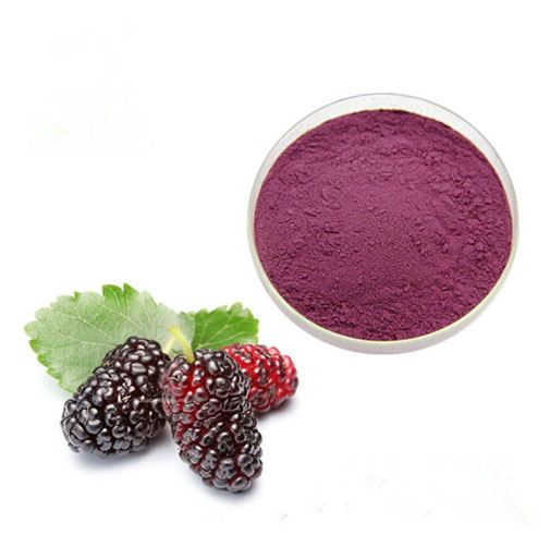 Mulberry Leaf Extract Manufacturer