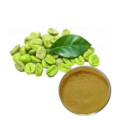 Green Coffee Bean Extract Bulk