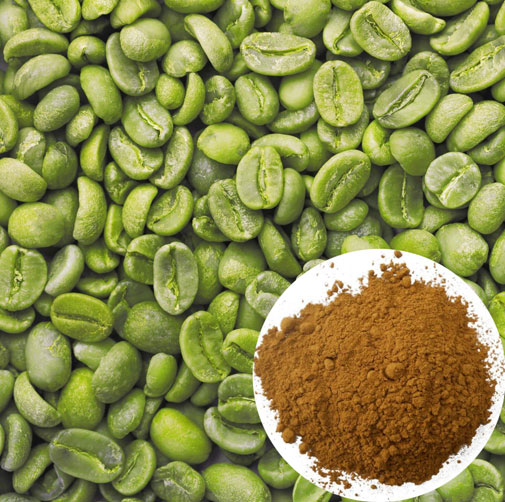 Green Coffee Bean Extract Powder Bulk1