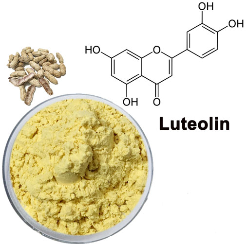 Luteolin Bulk Powder1